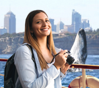 WHALE WATCHING CRUISES